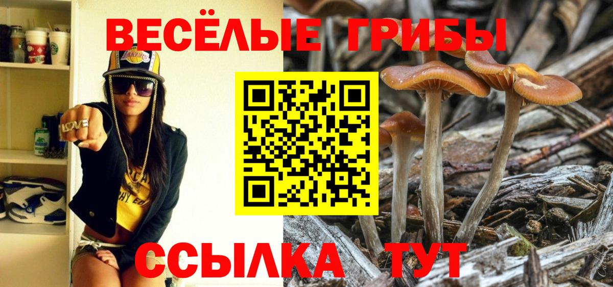 Псилоцибиновые грибы мухоморы Минеральные Воды