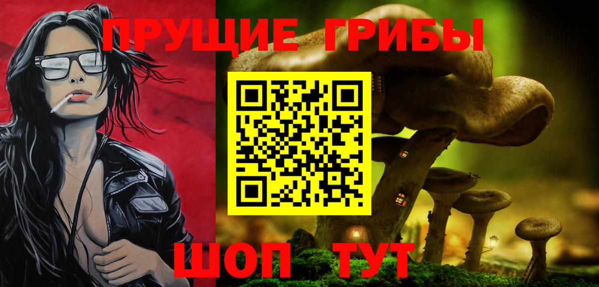 Минеральные Воды  Псилоцибиновые грибы ЛСД  Галлюциногенные грибы Psilocybe  Вход с VPN 